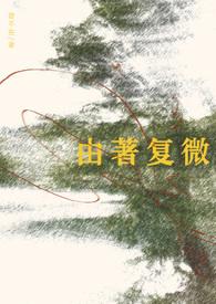 由著复微txt百度