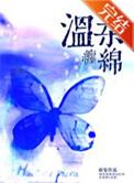 温柔缠绵是什么歌曲的歌词