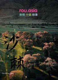 沙棘片的作用与功效