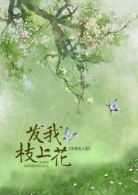 枝上花图片