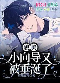 貌美小向导又被垂涎了免费