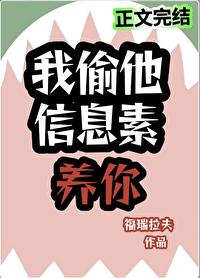 我偷他信息素养你讲了什么