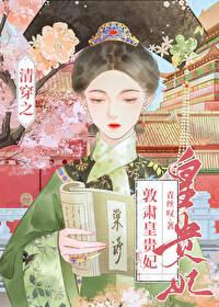 清穿之哲皇贵妃83