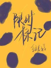 限时标记甜麦子讲的什么