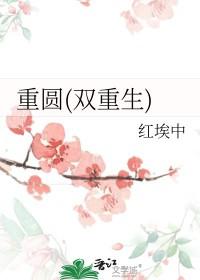 重圆(双重生)谢朝朝
