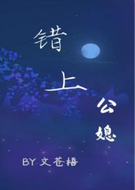 错上(公媳 古言)作者文苍梧