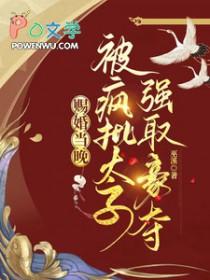 赐婚太子哥哥之后