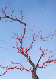 保姆情事出轨并非我本意新