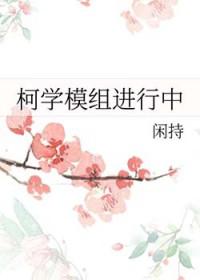 柯南之柯学玩具