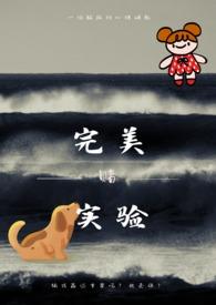 美囚完美的实验台