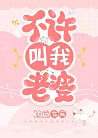 不许叫老婆 翻译