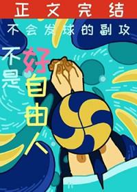 排球少年cp盘点