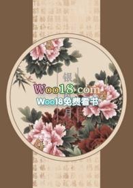 银风月 作者极光光