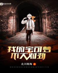 宝可梦不太对劲