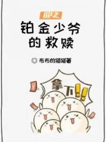 hp同人文铂金