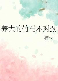 竹马饲养记事晋江