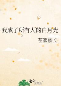 穿书后我成了所有人的白月光