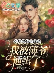 我被薄爷通缉了夜京