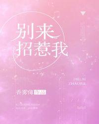 别来招惹我免费全文