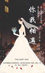 你我相遇纯属一次偶然完整版