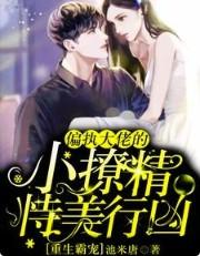 重生偏执大佬的小可爱