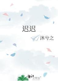 迟迟入怀中免费阅读