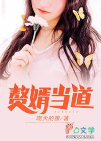 赘婿当道秦容音