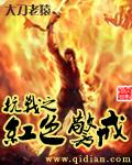 抗战之红色警戒txt奇书网
