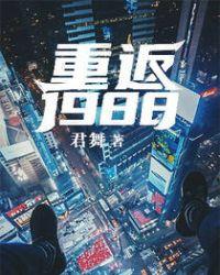 重返1988年电视剧