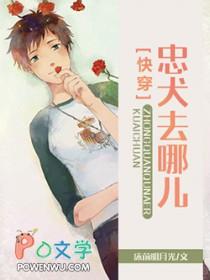 忠犬都去哪了txt