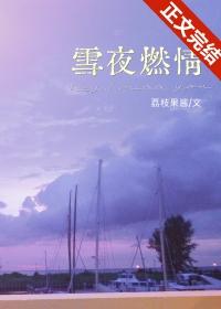 雪夜燃情txt百度