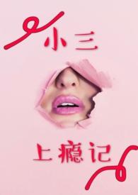 小三上瘾记全文阅