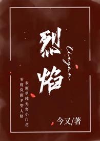 烈焰全文免费阅读