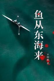 鱼来鱼往