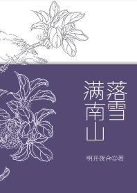 落雪满南山说的什么
