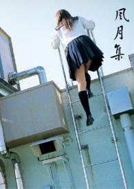 风月讲的什么意思