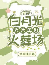 白月光 快穿