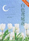 白色鸢尾花隐藏花语