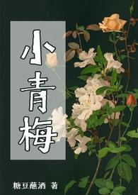 小青梅nph笔趣阁