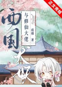 西国犬妖兄弟战国篇