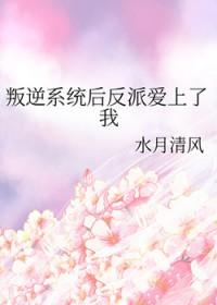 反叛系统激活txt