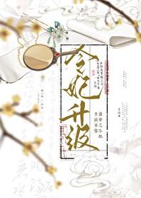 清穿令贵妃晋升记番外