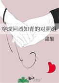 穿成反城知青