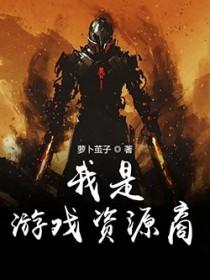 我是游戏编外人员免费阅读