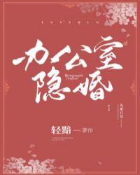 办公室隐婚原著讲的什么
