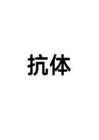 抗体-是什么意思