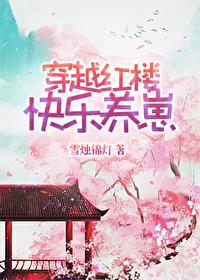穿越红楼文