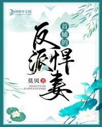 首辅的早