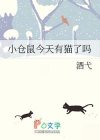 的小仓鼠