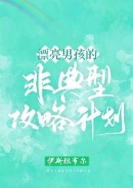 漂亮男孩的非典型攻略计划()作者伊